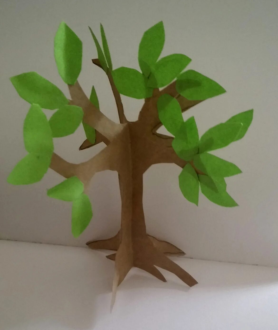 Make trees. Дерево Papercraft. Растение дерево картон. Papercraft природа дерево. Объемное дерево из фломастеров.