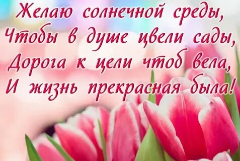 Солнечная среда