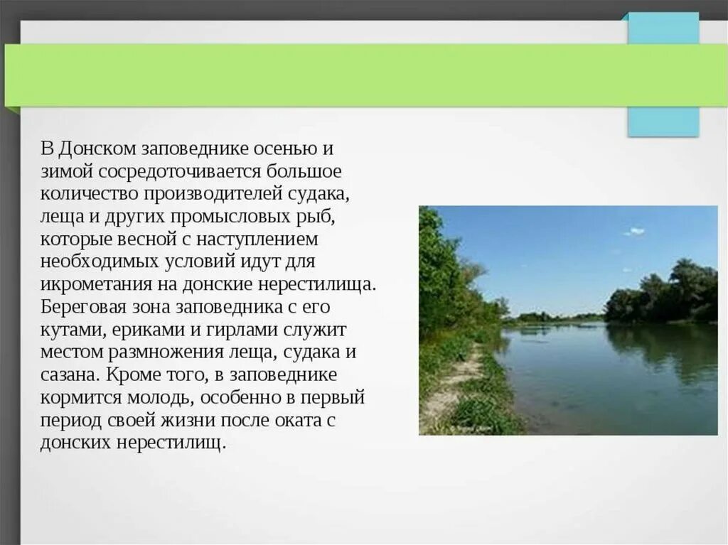 Орловский заповедник ростовская область. Донской заказник Ростовская область. Заповедники Ростова на Дону и Ростовской области. Заповедники Ростовской обл. Заповедники и заказники Ростовской области.