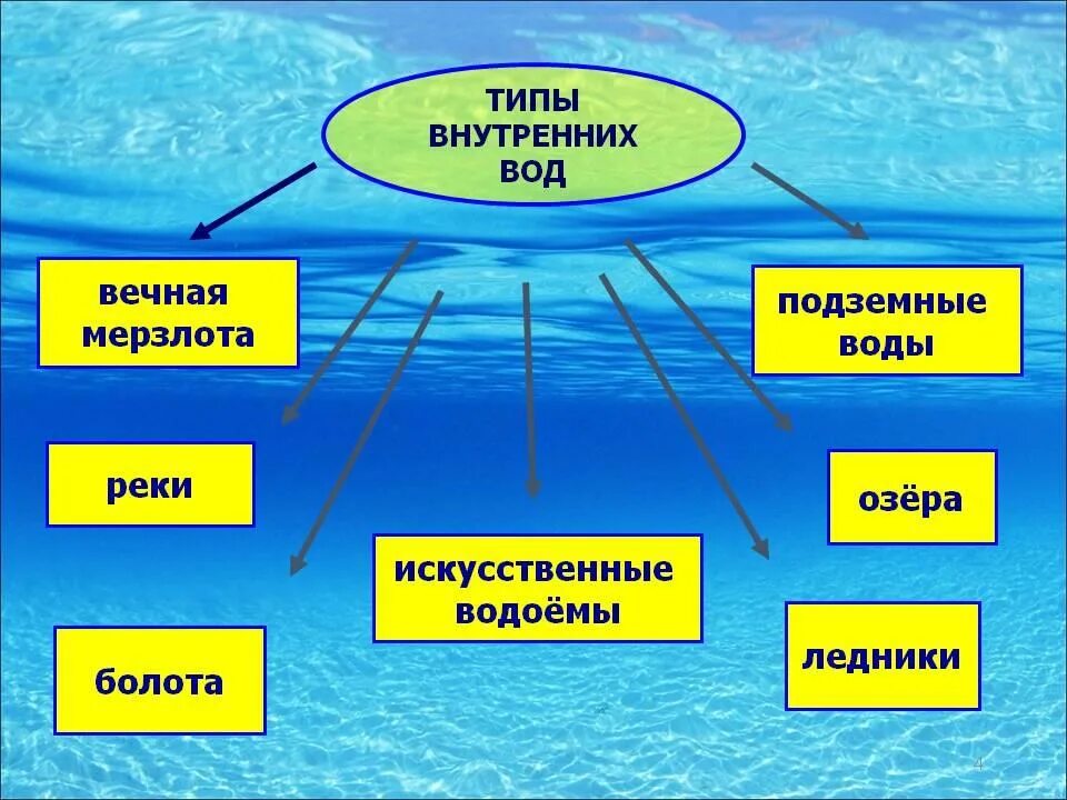 Внутренние воды. Типы внутренних вод. Внутренние воды схема. Типы внутренних вод Евразии. Внутренние воды включают в себя