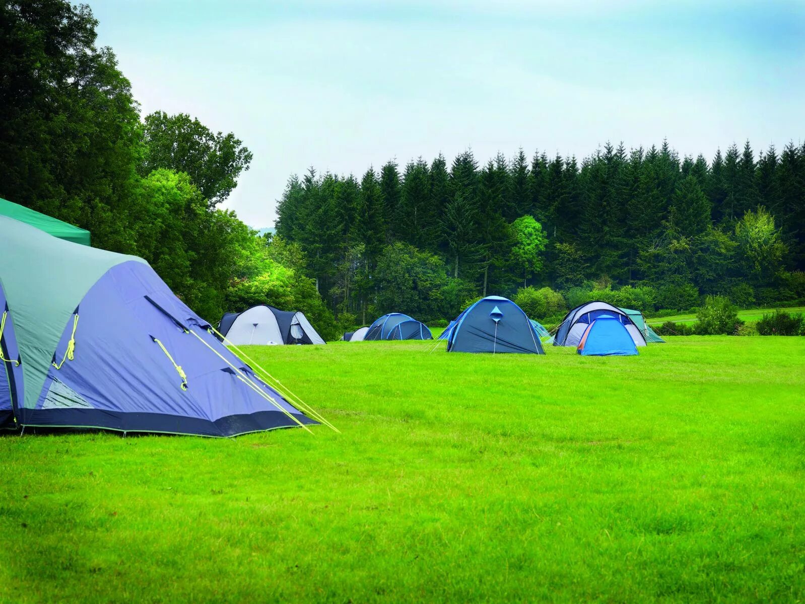 Палаточный лагерь Camp 2050. Кемпинг на ферме «Мартьянково». Палатка Camping Tent. Палаточный лагерь на Дукке. Photo camp