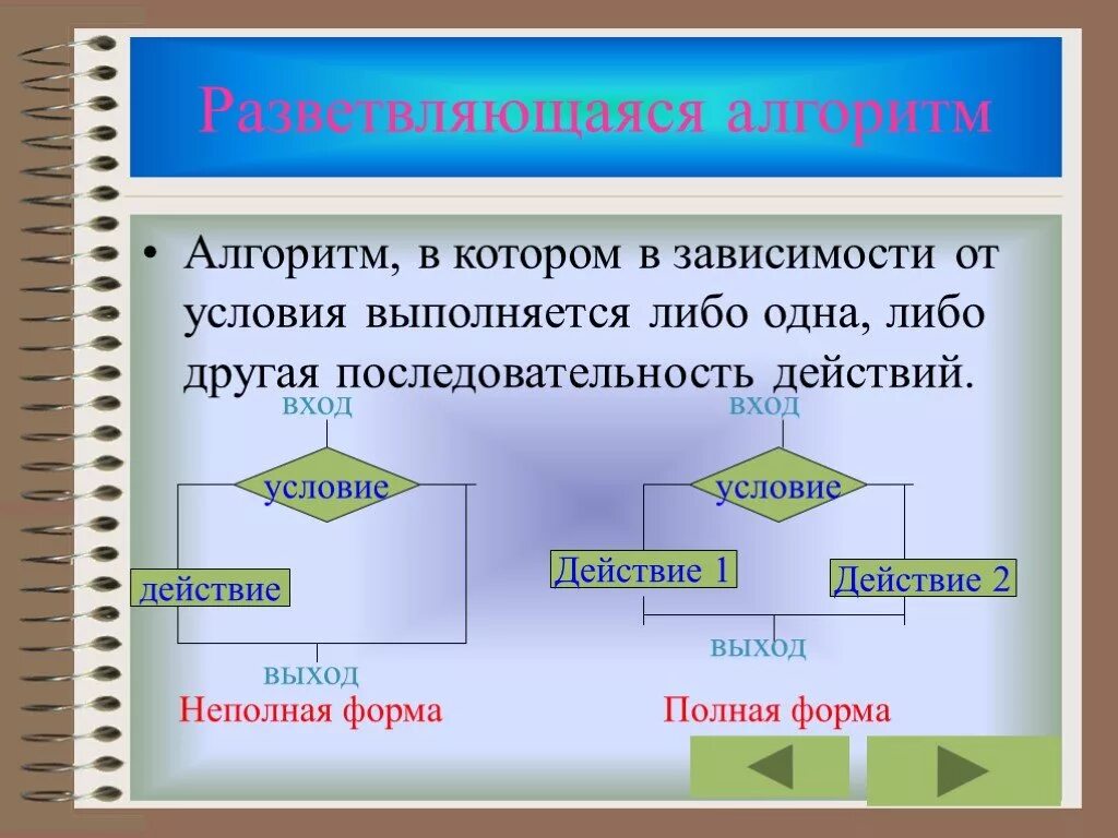 Алгоритм в повседневной жизни. Что такое алгоритм в информатике. Разветвляющийся алгоритм примеры. Разветвляющий алгоритм. Линейные и разветвляющиеся алгоритмы.