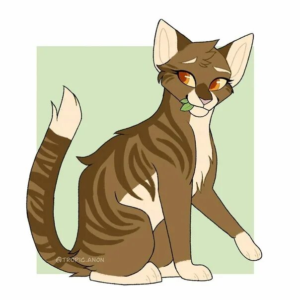 Leafpool коты воители. Листвичка коты воители арт. Листвичка коты воители арт. Листвичка коты вои ели. Котыввоители листвичка.
