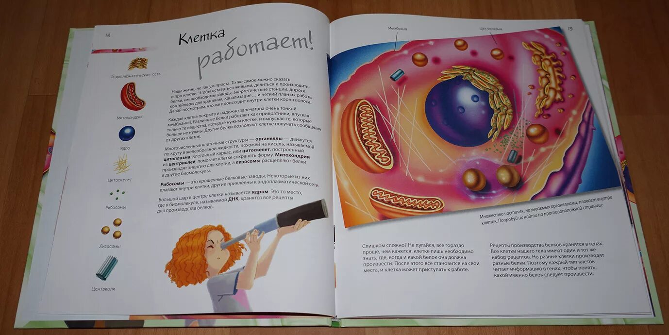 путешествие в мир клеток. тема: путешествие в мир науки. презентация о путешествии в мир клеток. мир клеток. путешествие в мир клеток доклад 4 класс.