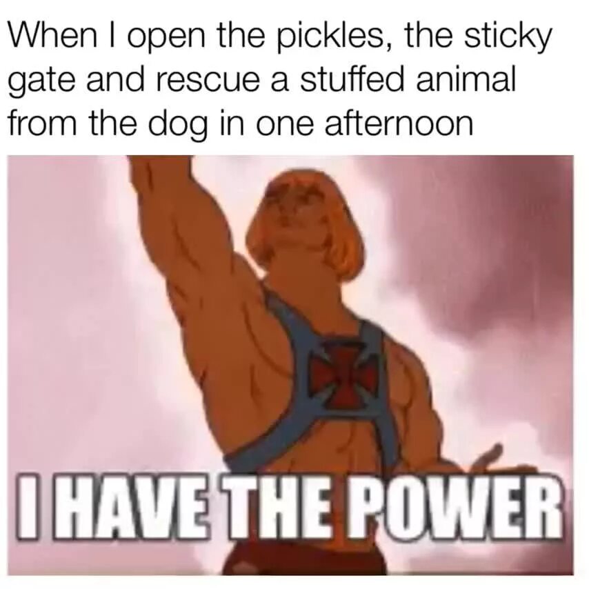 Power had. Хи-мэн i have the power. мем i have the power. i have the power gif. i feel the power he-man.