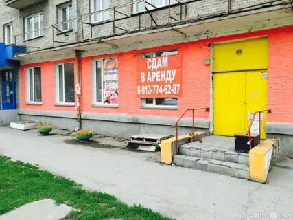 Сеть ищет аренду
