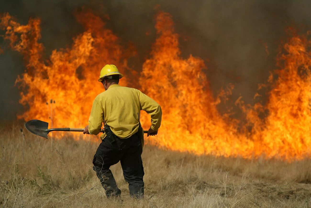 Тушат Лесной пожар. Тушение пожара. Борьба с лесными пожарами. Лесной пожарник.