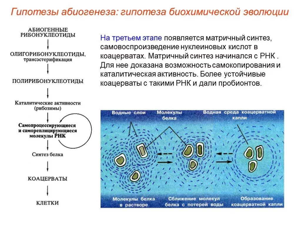 Биохимическая теория возникновения