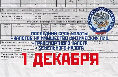 До какого месяца нужно оплатить налоги