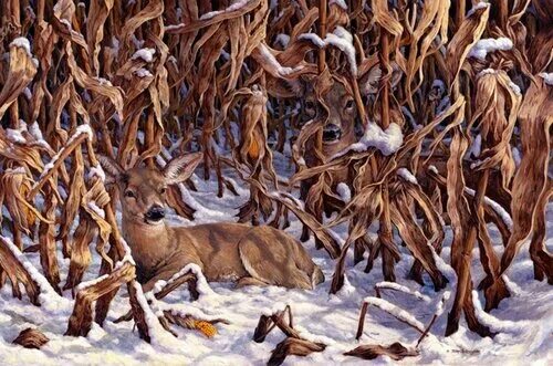 Найди зверей на картинке. Бев дулиттл художник картины. Лиса головоломки. Картины в которых спрятаны животные. Бэв дулиттл картины.