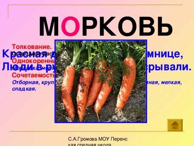 Разобрать слово морковь. Морковь словарное слово. Толкование слова морковь. Сообщение про морковь. Словарное слово морковь в картинках.