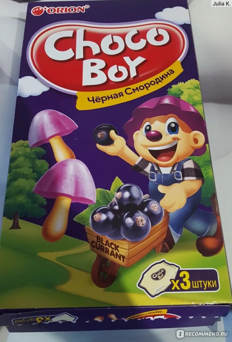 Choco boy грибочки черная смородина. Orion Choco boy черная смородина. Печенье Orion Choco boy 45 гр черная смородина грибочки. Orion печенье Чокобой черная смородина. Choco грибочки