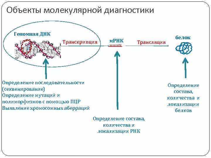 Методы определения мутаций. Методы выявления геномных мутаций. метод диагностики геномных мутаций. секвенирование выявляемые мутации. секвенирование вируса.