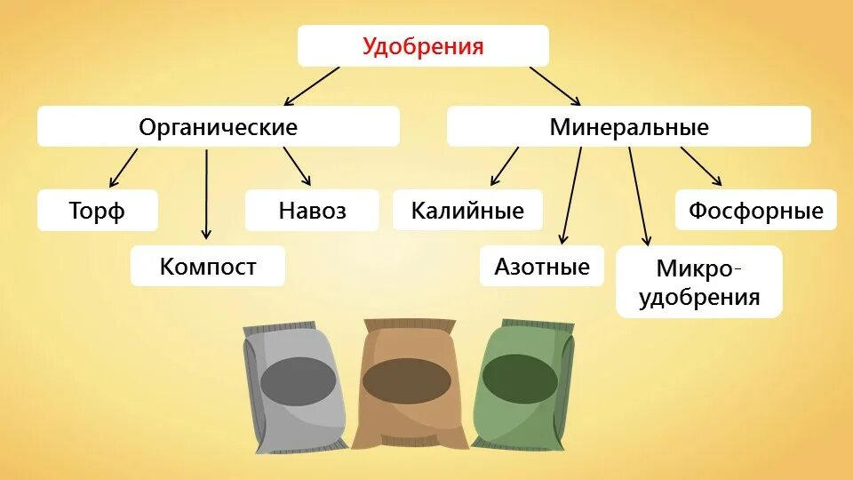 Питание растений удобрения 6 класс. Удобрения Минеральные и органические схема 6 класс. Минеральное питание растений 6кл. Биология 6 класс питание растений удобрения. Синонимы термина минеральное питание в ботанике