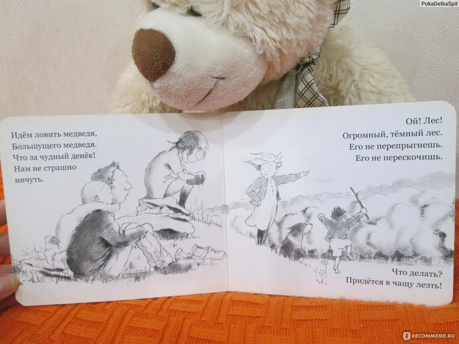 Я был медведем текст. Розен м. Стишки про мишку. Я был медведем текст. Я вовсе не медведь.