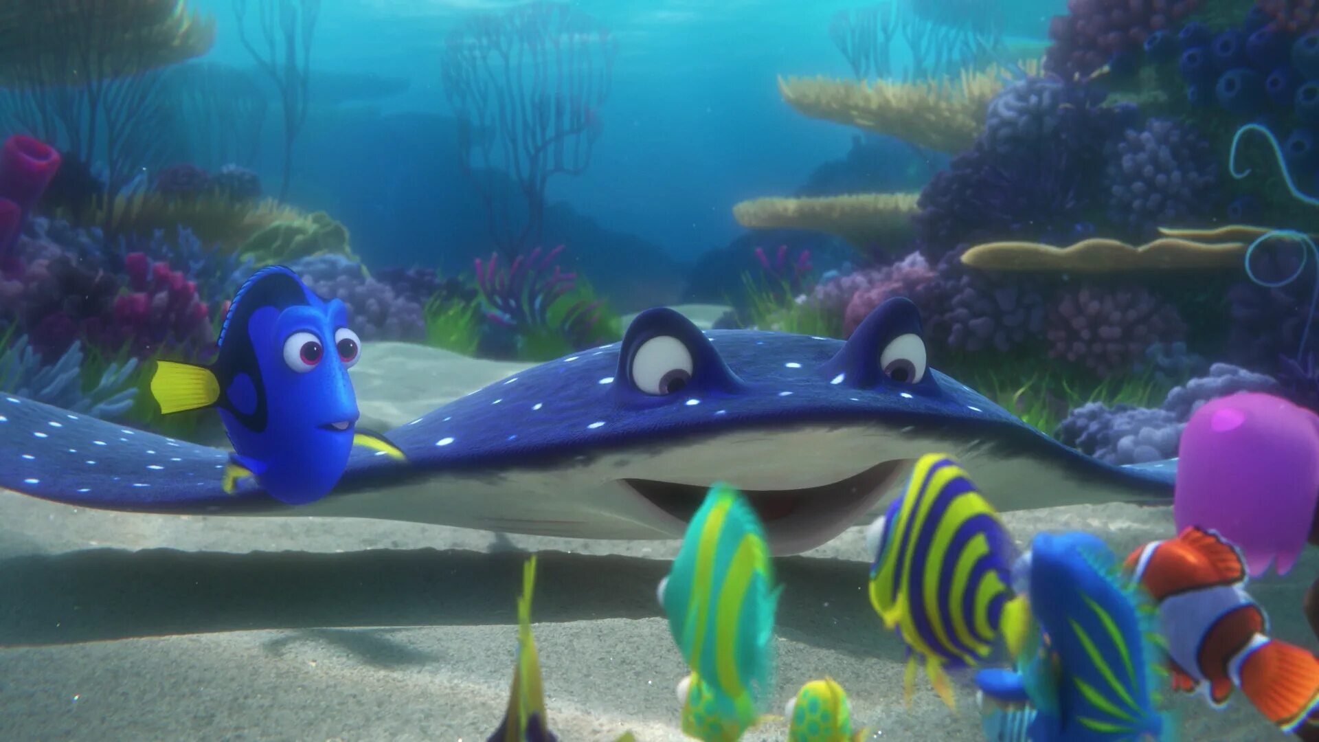 В поисках дори / finding Dory (2016). В поисках Немо дори. Рыбка дори 2016. В пои немо