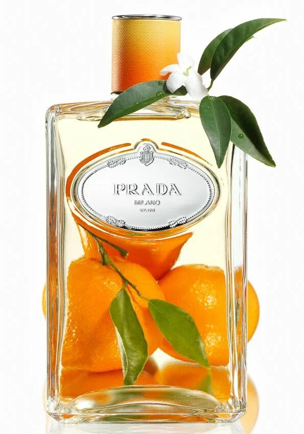 Мандарин в духах. Прада оранж духи. Флер де оранж духи. Prada Infusion de fleur d oranger 100. Духи Prada цветок апельсина.