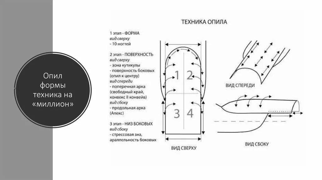 Опил формы ногтей технология для начинающих. Схема опила нарощенных ногтей. техника опила нарощенных ногтей схемы. схема опила формы ногтей. схемы опила при наращивании.