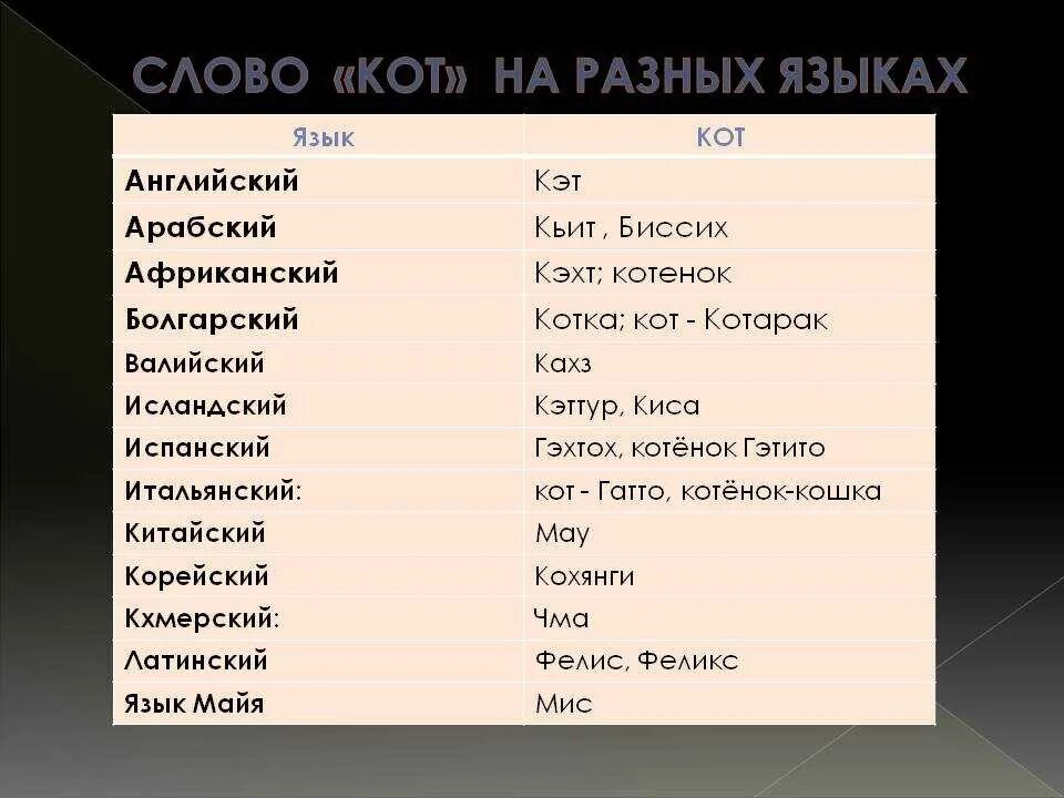 Переводится с разных языков. Слова на разных языках. Сова на аразных языках. Слово на разгвэ языках. Слово кот на разных языках.