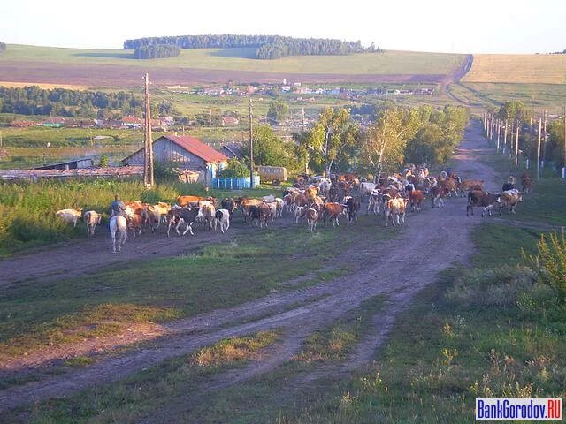 Деревня Алгаштык Краснотуранского района. Село Кортуз Краснотуранский район. Красноярский край Краснотуранский район село Восточное. Село Салба Краснотуранского района. Погода восточное красноярский край