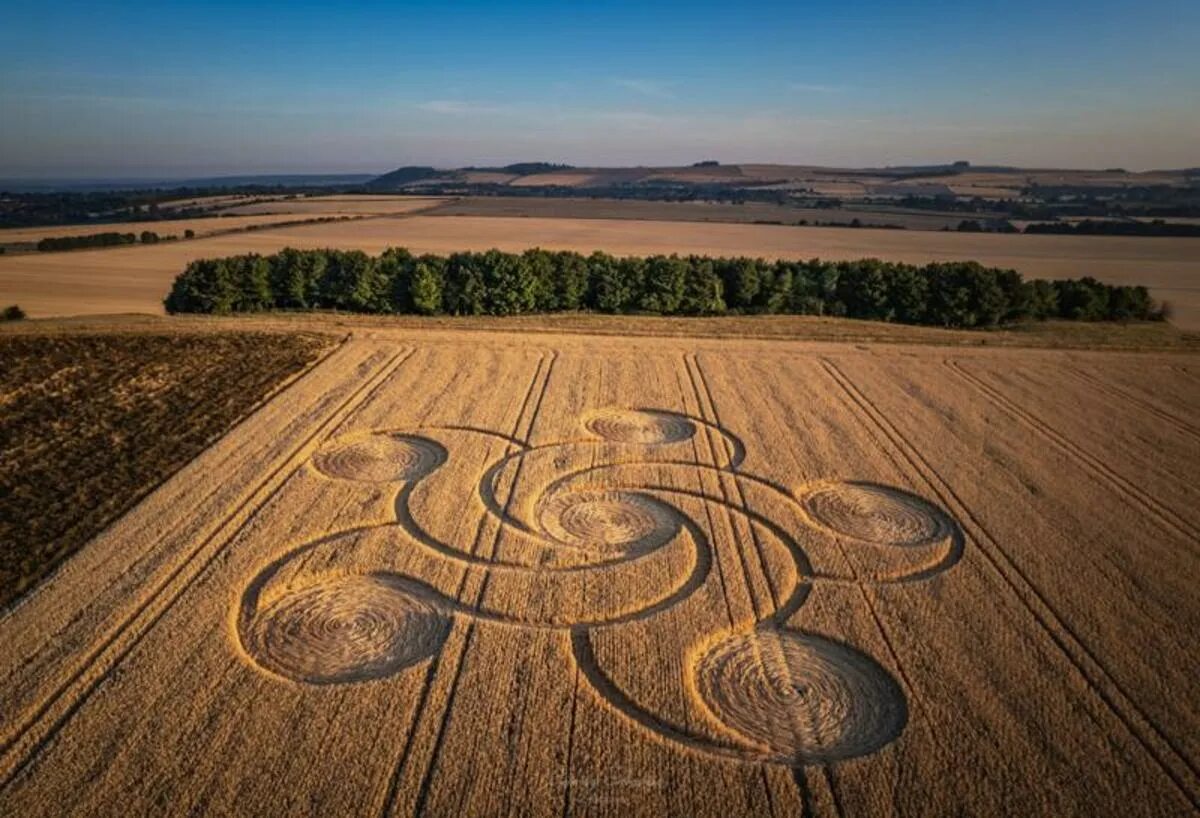 Уилтшир,,круги на полях. Круги на полях 2023. Круги на полях 2020 краснодар. Поле для заметок. Круги на полях.