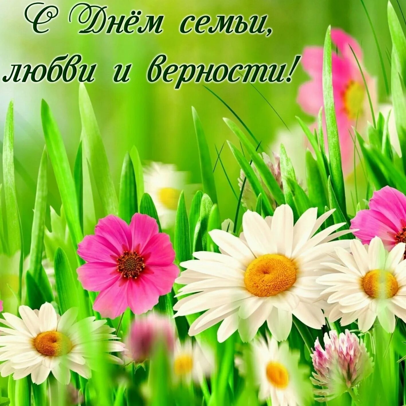 С днём семьи открытки. Международный день семьи. Международный день сем. Красивое поздравление с днем семьи. С днем семьи.