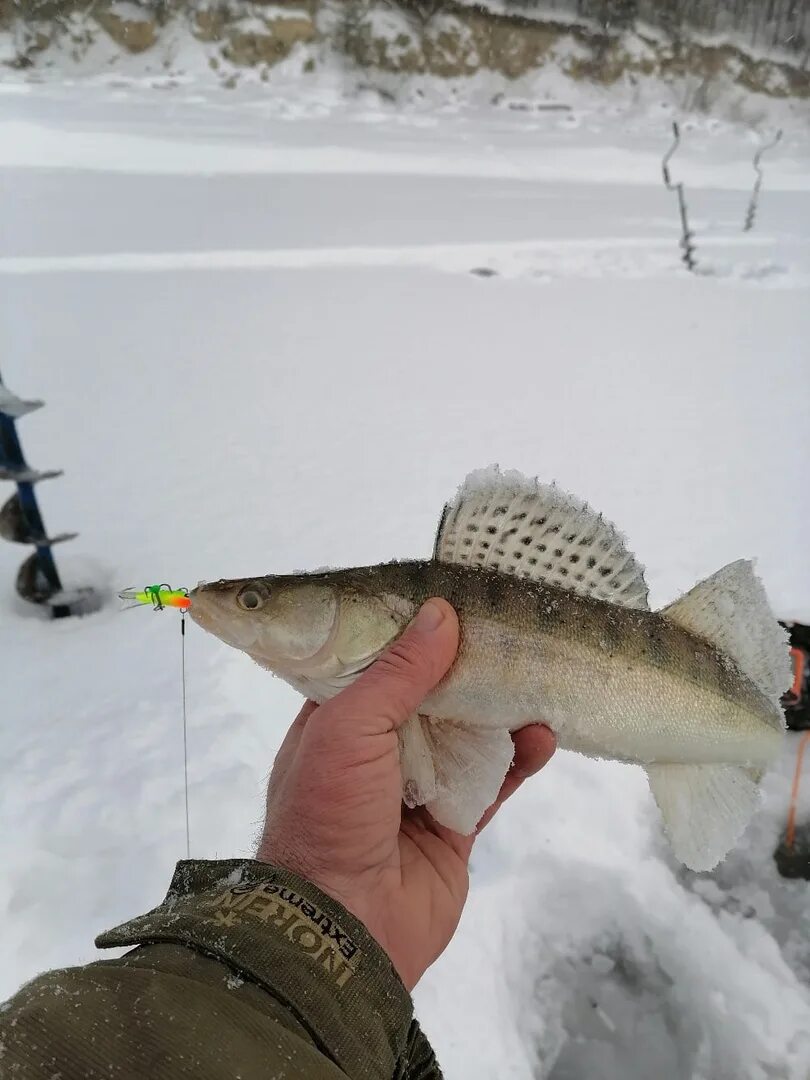 Рыболовный камское устье