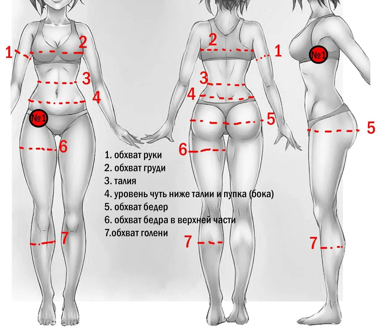 Какая часть тела увеличивается. Как замерить обхват бедер. Как измерить талию и бедра у женщин. Обзват белеркак измерить. Как измерить обхват талии и бедер.