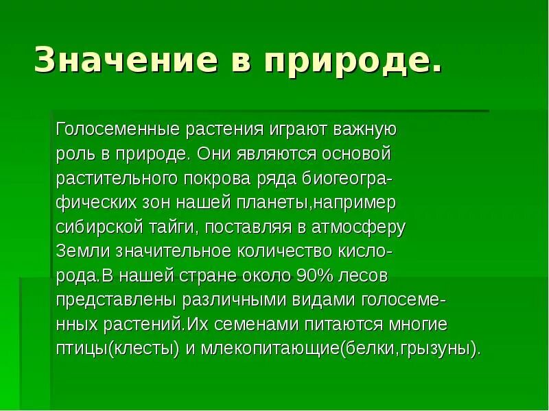 Значение голосеменных в природе. Важность растений в природе. Значение голосеменыхв природе. Значение голосеменных в природе и жизни человека.