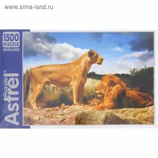 1500 лев