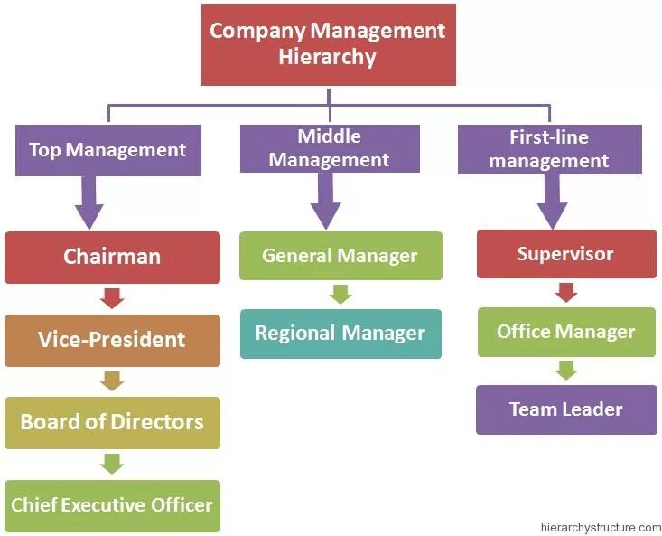 In company answers. Company Hierarchy. Company Management Hierarchy. Hierarchy of Managers. Структура Компани.