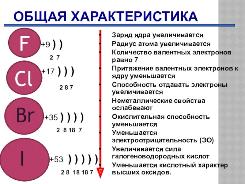 Изменения заряда ядра атома. Галогены и их атомные радиусы. Заряд ядра увеличивается. Увеличение числа валентных электронов. Число валентных электронов увеличивается.