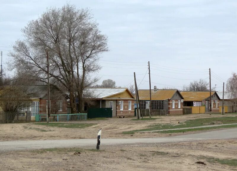 Село Селитренное. Уахитовы село Селитренное. Селитренное Астраханская область. Деревня селитренная в Астрахани.