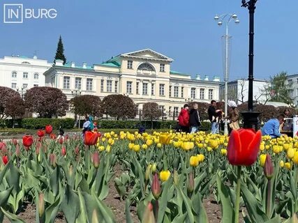 Цвету екатеринбург