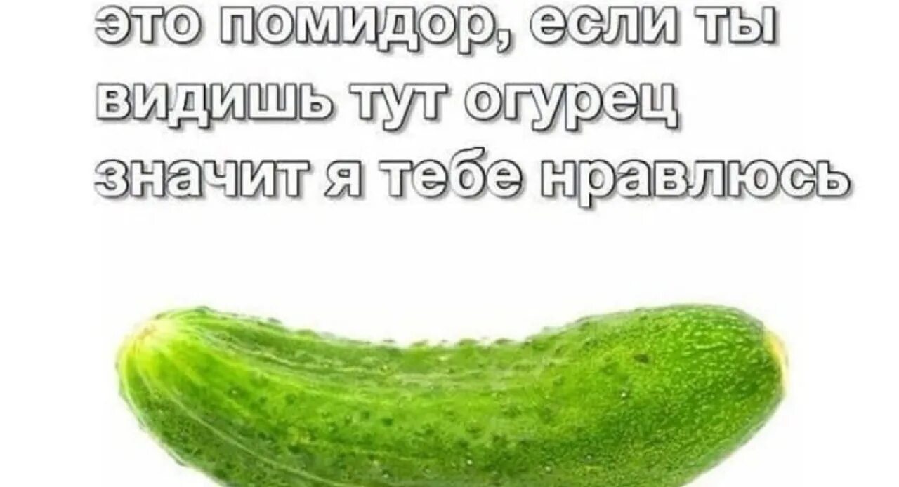 Не до завтрака, когда даже огурец хочется сосать, а не есть