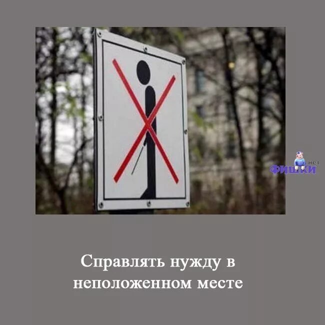 Снится справлять нужду. Не справлять нужду. справлять нужду запрещено. не справляй нужду в неположенном месте.