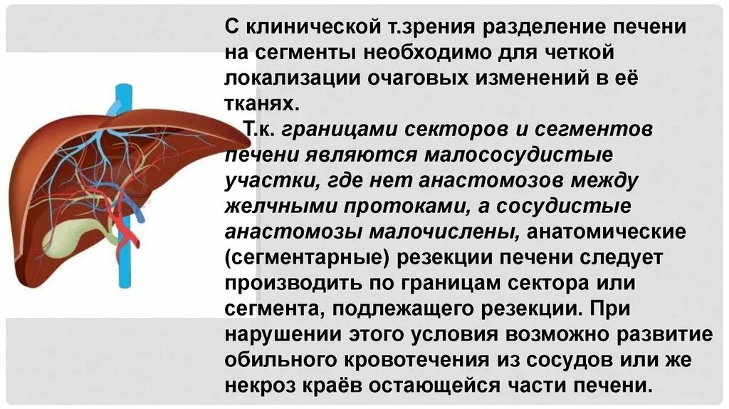 Округлое образование печени. Очаговые поражения печени. Очаговый порожения печени. Очаговые поражения печени классификация. Очаговые заболевания печени.