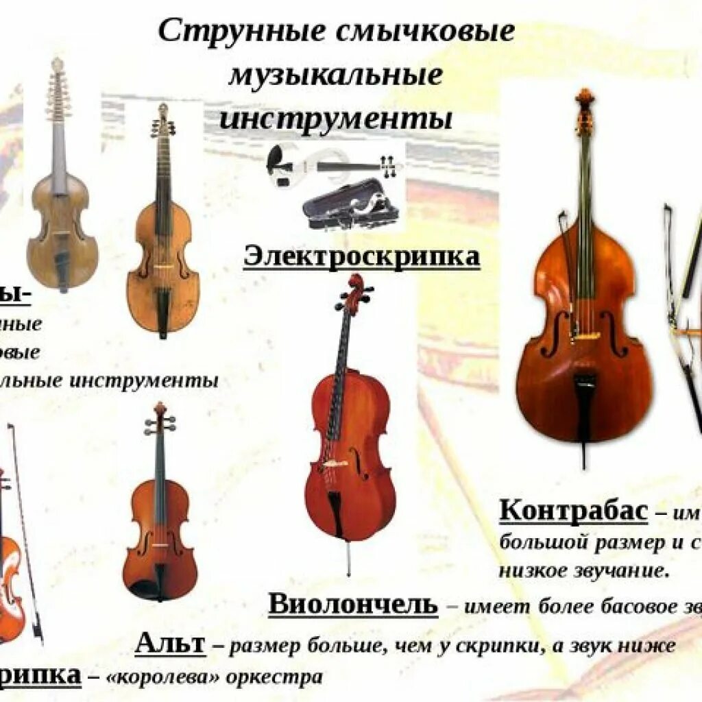 Типа альт. Струнно-смычковые музыкальные инструменты названия. струнные смычковые и щипковые инструменты. струнно смычковые инструменты названия список. альт струнные смычковые музыкальные инструменты альтисты.