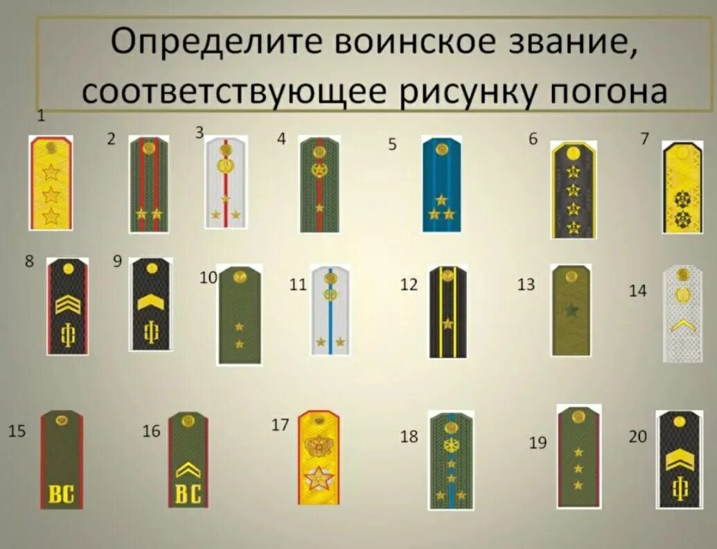 Тест погонов. Звания военнослужащих вс РФ по погонам. Звания и погоны Российской армии. Воинские звания в Российской армии. Знаки различия в Российской армии на погонах.