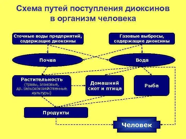 Путь поступления загрязняющих веществ. Пути поступления загрязняющих веществ в организм человека. диоксины в пищевых продуктах. схема попадания вредных веществ в организм человека.