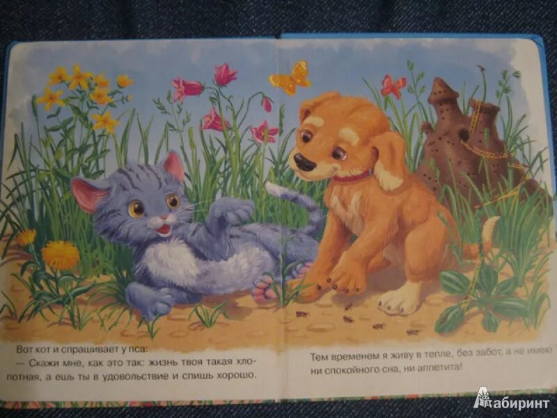 Сказка про щенка. Иллюстрация к сказке про собаку. Детские книжки про собак и кошечек. Сказка про котенка.