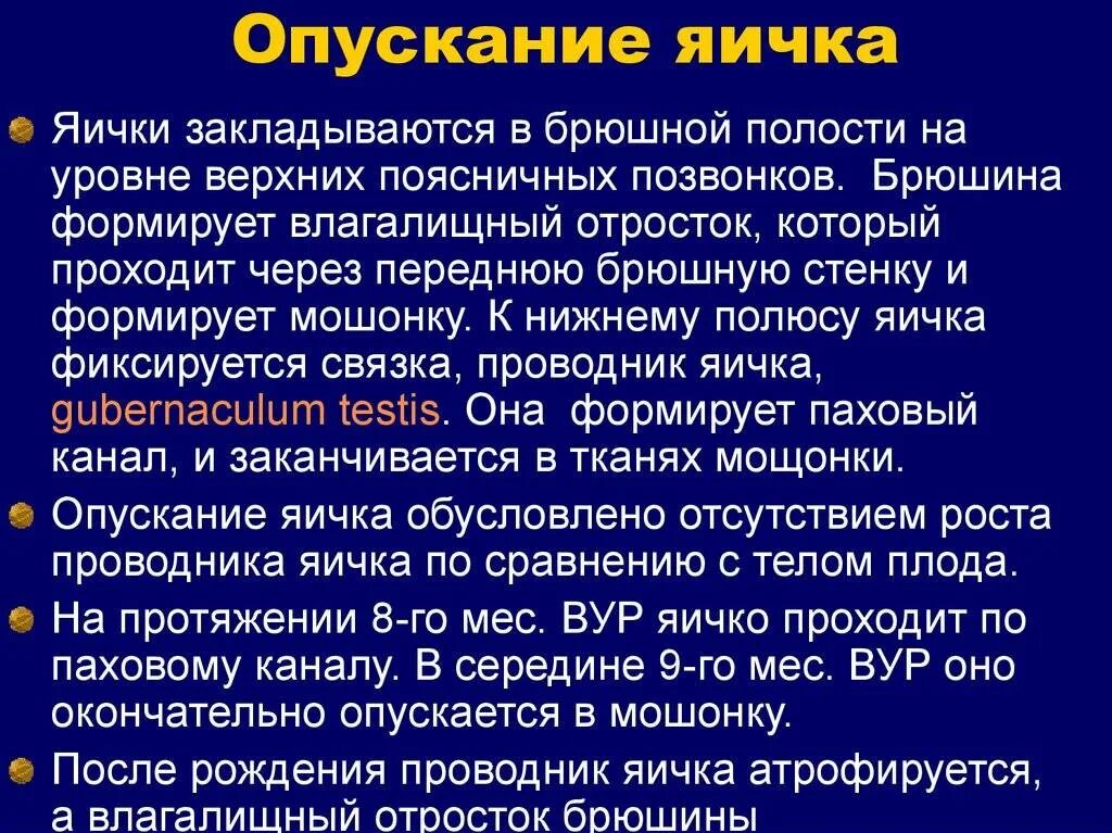 Почему яйца опускаются