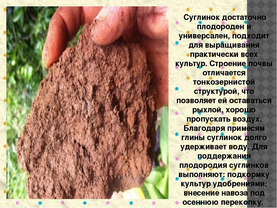 Запах почвы какой