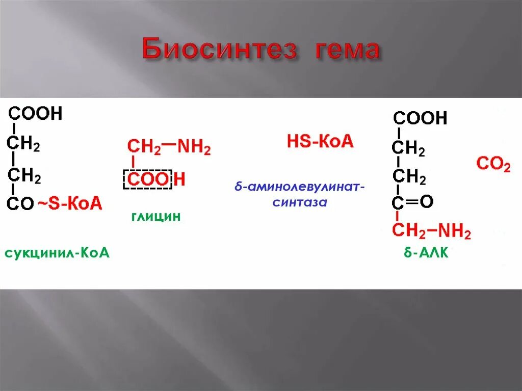 Биосинтез крови. Глицин в синтезе гема. Синтез гема биохимия реакции. Синтез гема из глицина и сукцинил КОА. Сукцинил КОА Синтез гема.