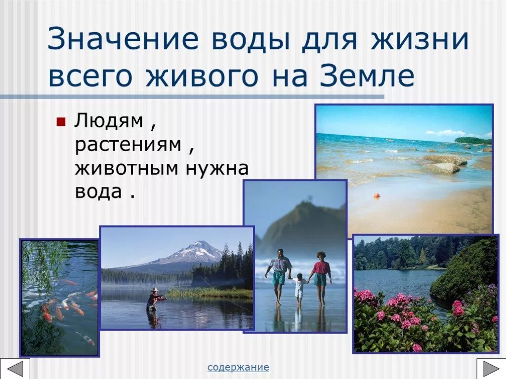 Значение воды для всего живого. Значение воды в природе 4 класс. Значение воды в жизни всего живого. Значение воды в жизни. Значение водоема в природе