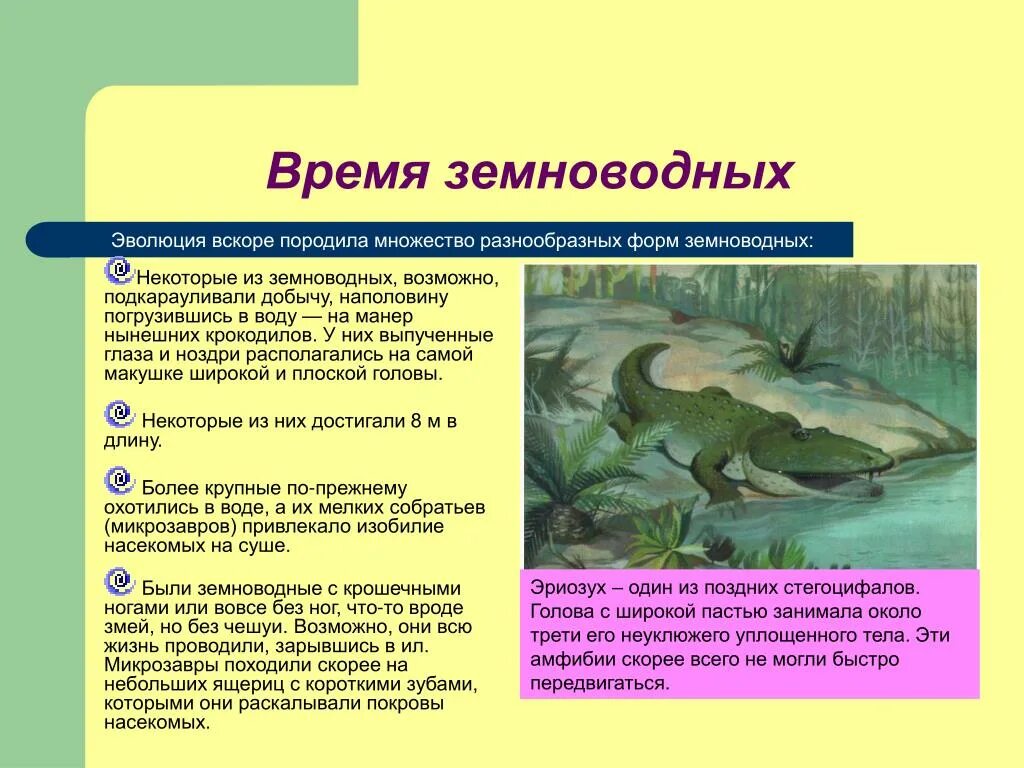 Приспособления земноводных в воде. Среда обитания земноводных амфибии. Земноводные на суше. Характеристика земноводных на сушу. Амфибии в воде и на суше.