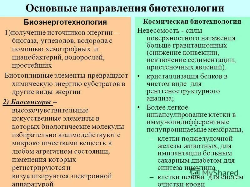 Методы направления биотехнологии. Основные направления биотехнологии. Основные направления фитотехнологии. Основные направления и методы биотехнологии. Общие методы биотехнологии.