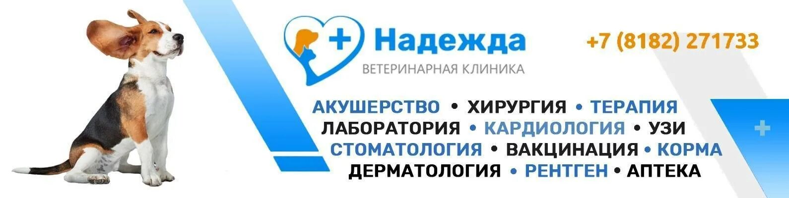 Ветклиника архангельск телефон. Услуги ветеринарной клиники. Ветеринарная клиника в Архангельске.