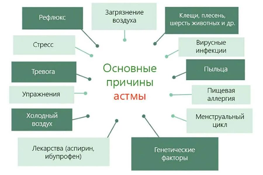 Причины бронхиальной астмы