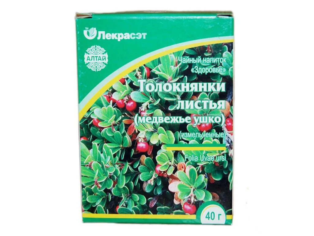 Толокнянка Медвежье ушко. Толокнянка обыкновенная Медвежье ушко чай. Травяной сбор Медвежьи ушки. Медвежье ушко трава в аптеке.